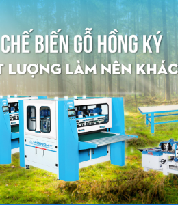 hongkywoodworkingcom364.chiliweb.org