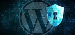 THIẾT KẾ WEBSITE BẰNG WORDPRESS NÊN HAY KHÔNG NÊN?