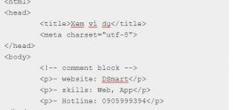 Cách ghi chú thích (comment) trong HTML – 09
