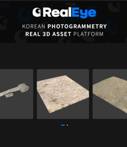 https://realeye.co.kr